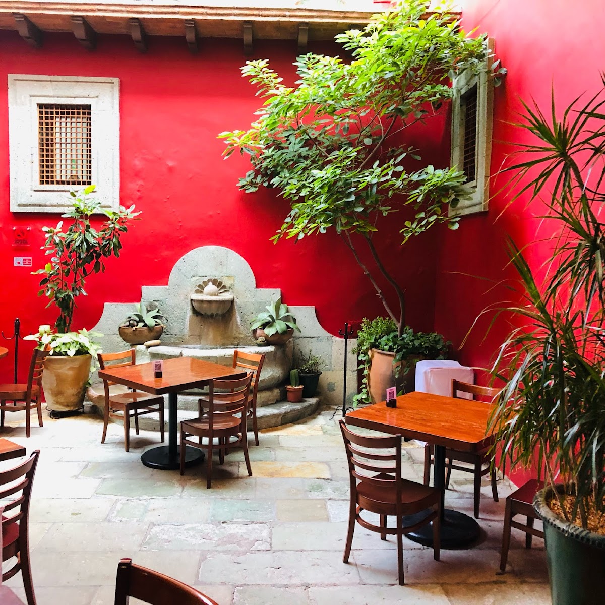 Catedral Restaurant — restaurante mexicano en Oaxaca de Juárez