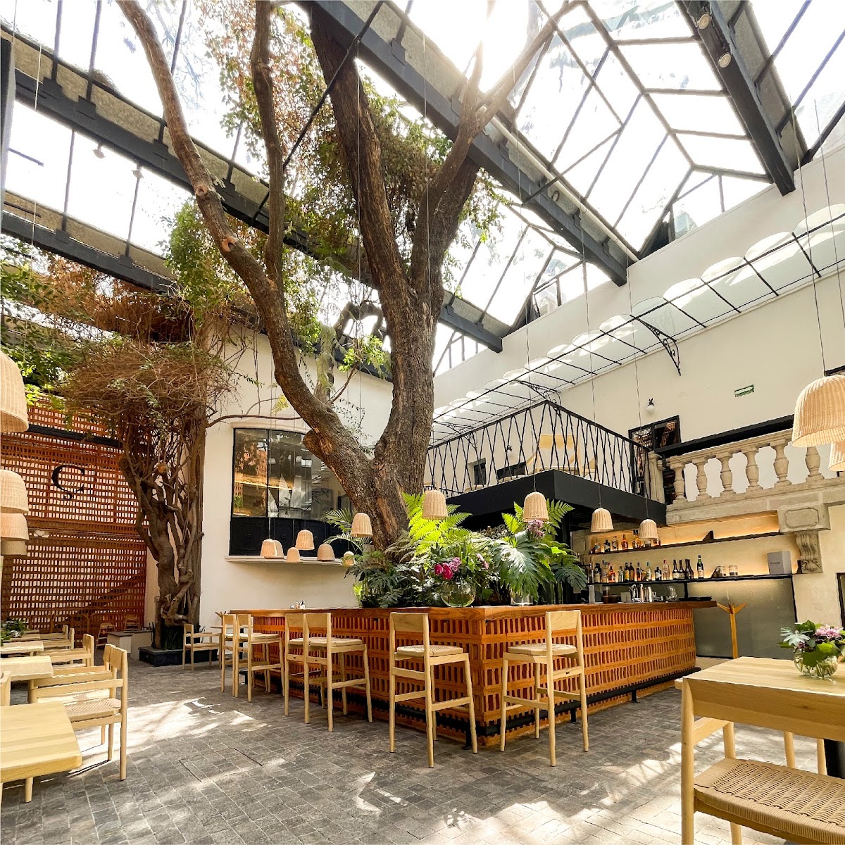 Cuina — restaurante mexicano en Ciudad de México
