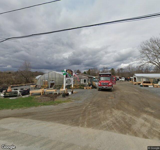 Levant Landscape Cafe