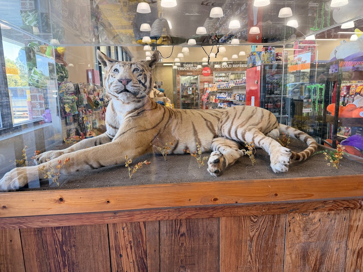 Tiger Truck Stop Rest.