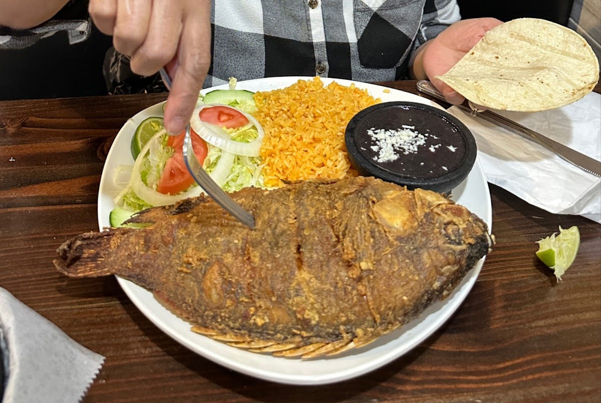 Tijuana Tacos Mexican Restaurant